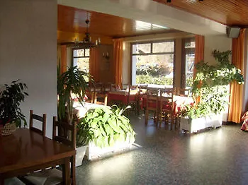 Hotel Les Fleurs 2*