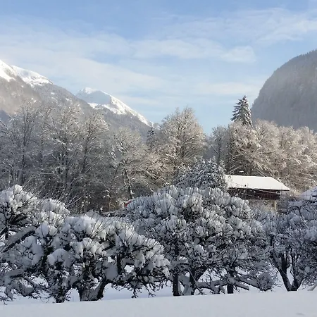Les Fleurs Montriond