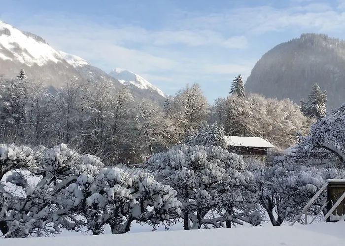 Les Fleurs Montriond