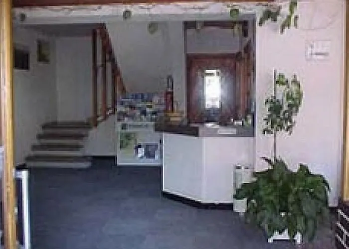 Hotel Les Fleurs 2*